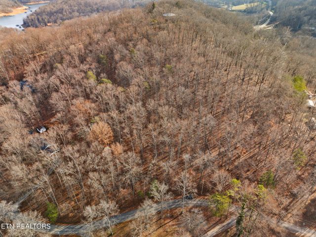 Mountain Lake Drive, Rocky Top, TN 37769