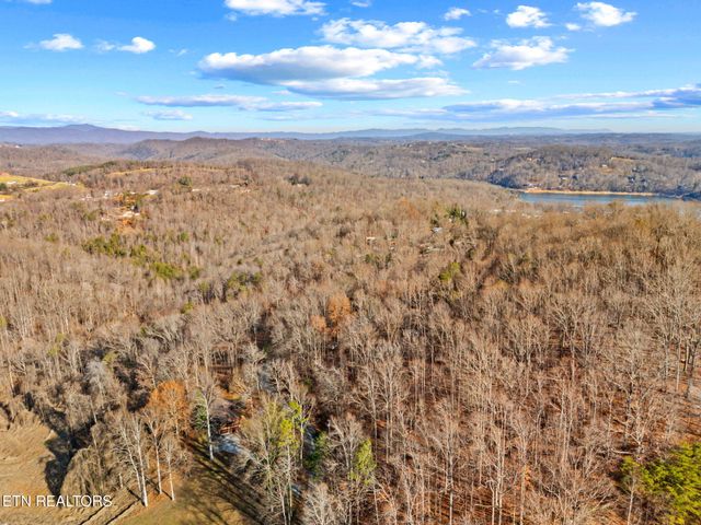Mountain Lake Drive, Rocky Top, TN 37769
