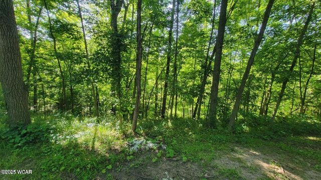 9917 Rd 171, Oakwood, OH 45873