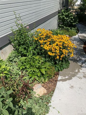 7549 Bantry Court, Lone Tree, CO 80124