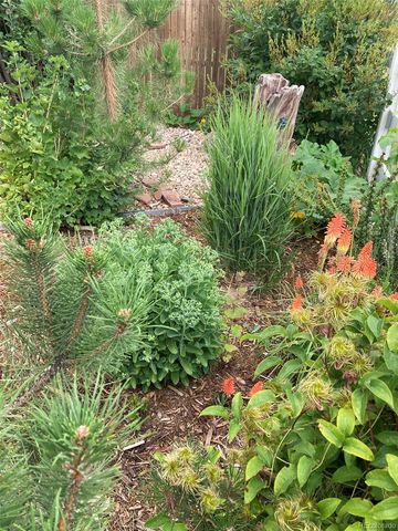 7549 Bantry Court, Lone Tree, CO 80124