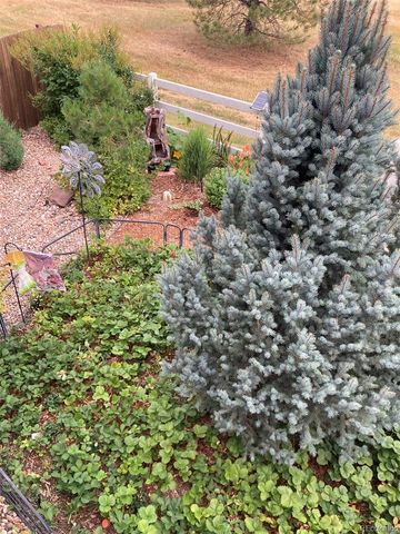 7549 Bantry Court, Lone Tree, CO 80124