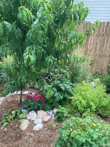 7549 Bantry Court, Lone Tree, CO 80124