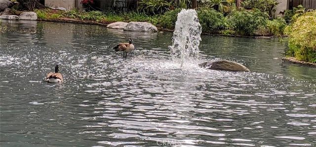 4900 E Chapman Avenue 51, Orange, CA 92869