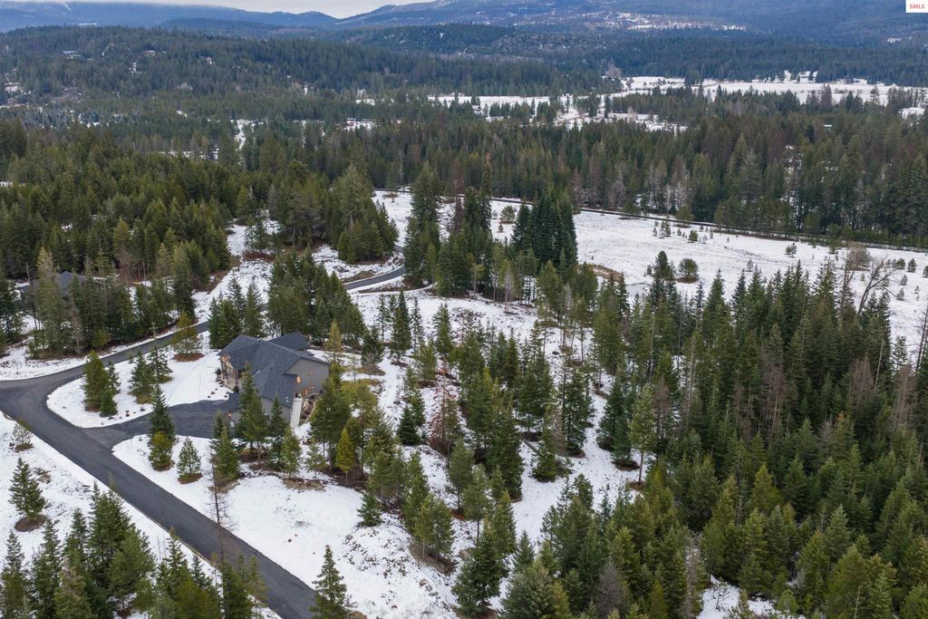 227 Mesa Drive, Athol, ID 83801 photo 91