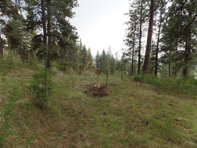 2XX Hwy 395 N #A Hwy, Colville, WA 99114