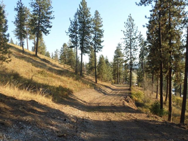 2XX Hwy 395 N #A Hwy, Colville, WA 99114