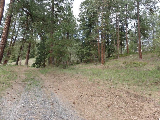 2XX Hwy 395 N #A Hwy, Colville, WA 99114