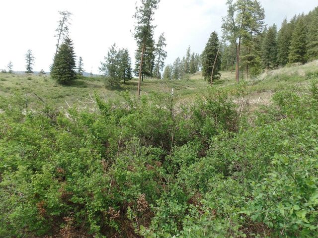 2XX Hwy 395 N #A Hwy, Colville, WA 99114