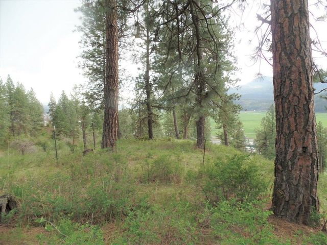 2XX Hwy 395 N #A Hwy, Colville, WA 99114