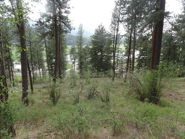 2XX Hwy 395 N #A Hwy, Colville, WA 99114