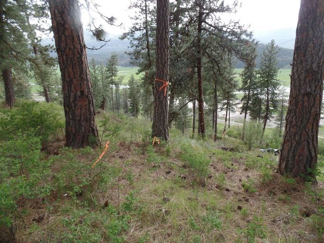 2XX Hwy 395 N #A Hwy, Colville, WA 99114