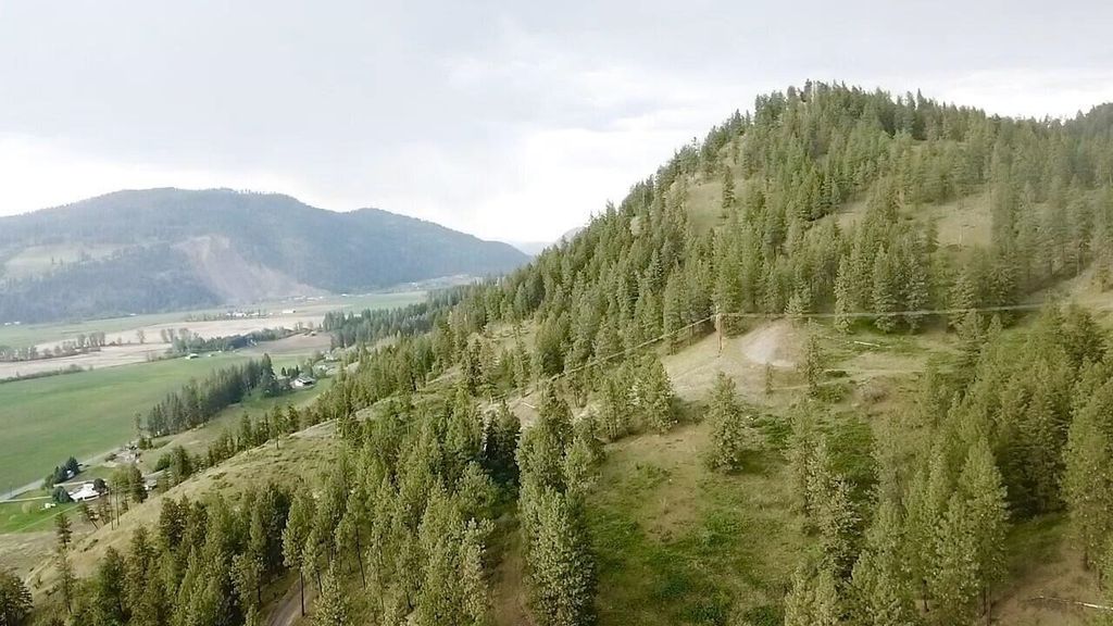 2XX Hwy 395 N #A Hwy, Colville, WA 99114