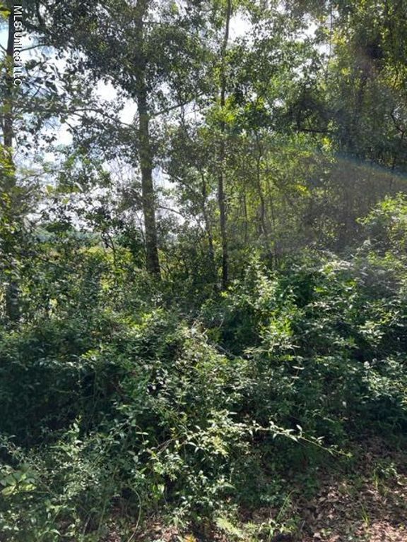 0 Orrell Drive, Gautier, MS 39553