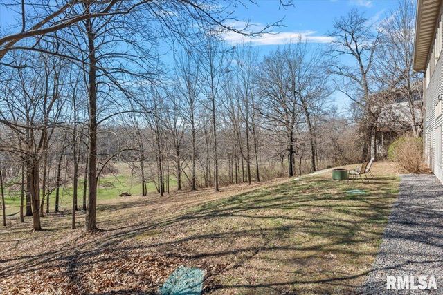 8 Riverwood Drive, Rochester, IL 62563