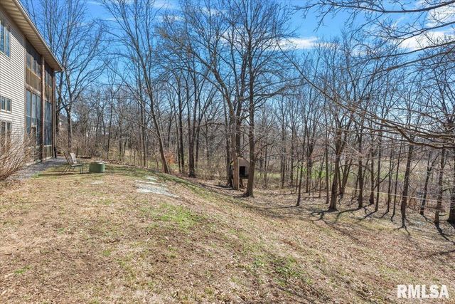 8 Riverwood Drive, Rochester, IL 62563