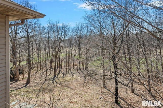 8 Riverwood Drive, Rochester, IL 62563