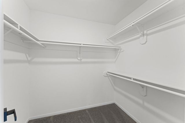 17523 Hamilwood Drive, Houston, TX 77095