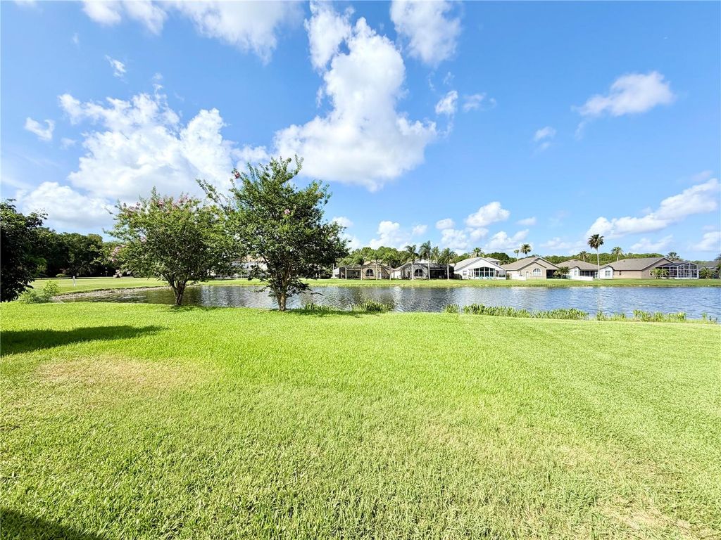 Image 6 of property listing at 14606 CORAL BERRY DRIVE, Tampa, FL 33626