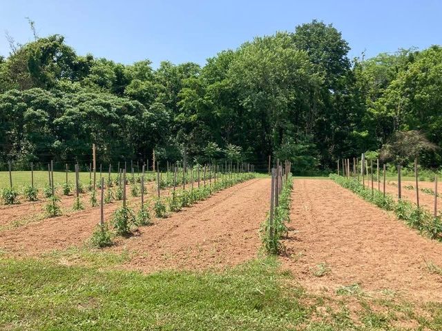 1411 Union Hill Rd, Goodlettsville, TN 37072