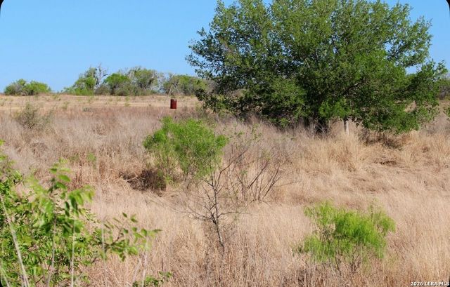 435 County Road 7715, Devine, TX 78016