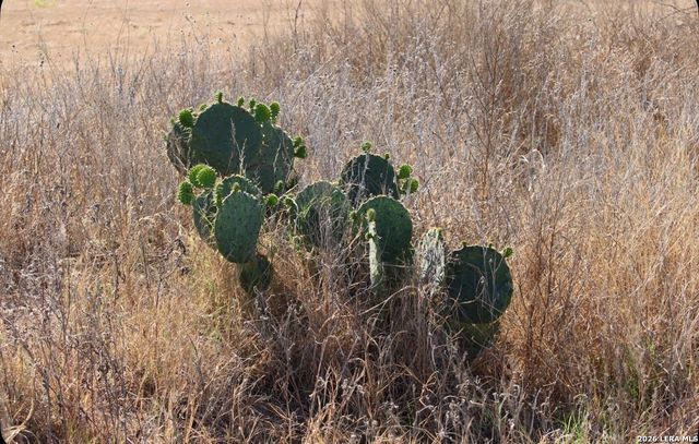 435 County Road 7715, Devine, TX 78016