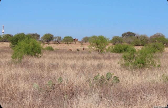 435 County Road 7715, Devine, TX 78016