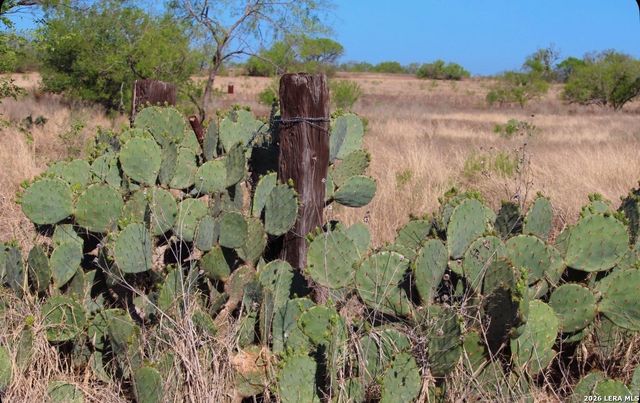 435 County Road 7715, Devine, TX 78016