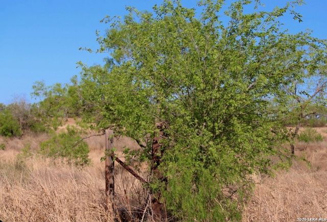 435 County Road 7715, Devine, TX 78016