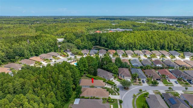 7740 CRAIGHURST LOOP, Trinity, FL 34655