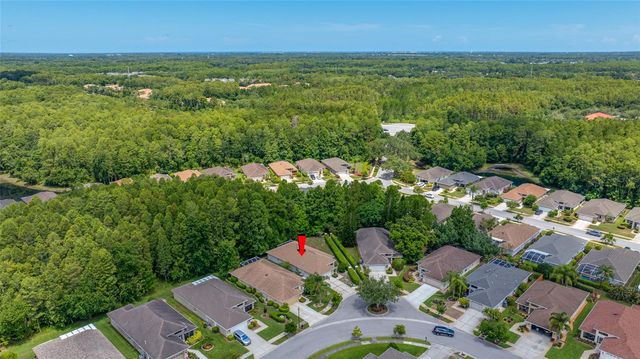 7740 CRAIGHURST LOOP, Trinity, FL 34655