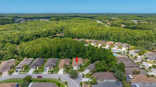 7740 CRAIGHURST LOOP, Trinity, FL 34655