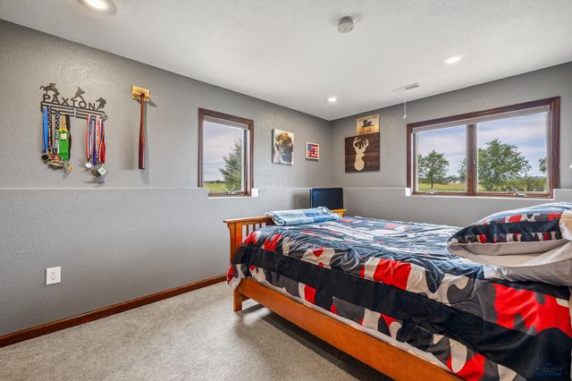 16729 WILLOW WOOD RD, Piedmont, SD 57769