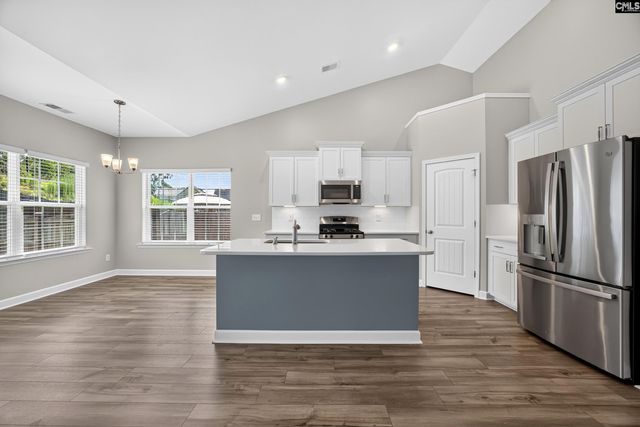 2928 Red Eagle Place, Lexington, SC 29073