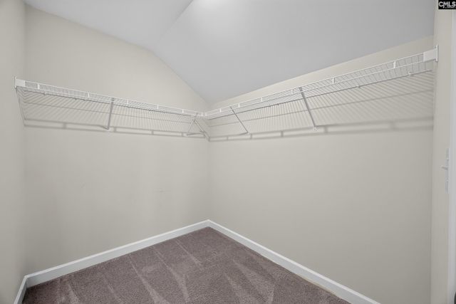 2928 Red Eagle Place, Lexington, SC 29073
