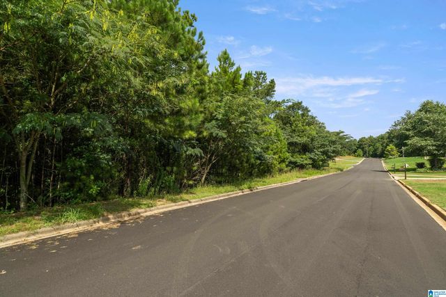 6518 IVY WALK, Mccalla, AL 35022