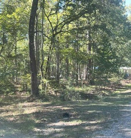 TBD Nueces Drive, Trinity, TX 75862