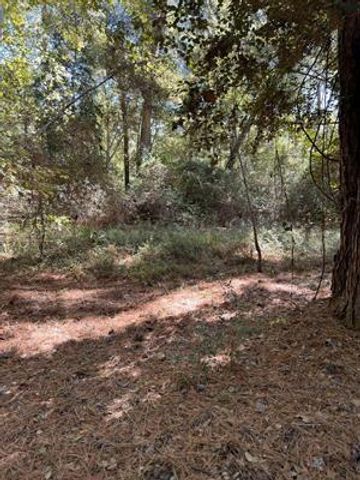 TBD Nueces Drive, Trinity, TX 75862