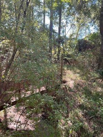 TBD Nueces Drive, Trinity, TX 75862