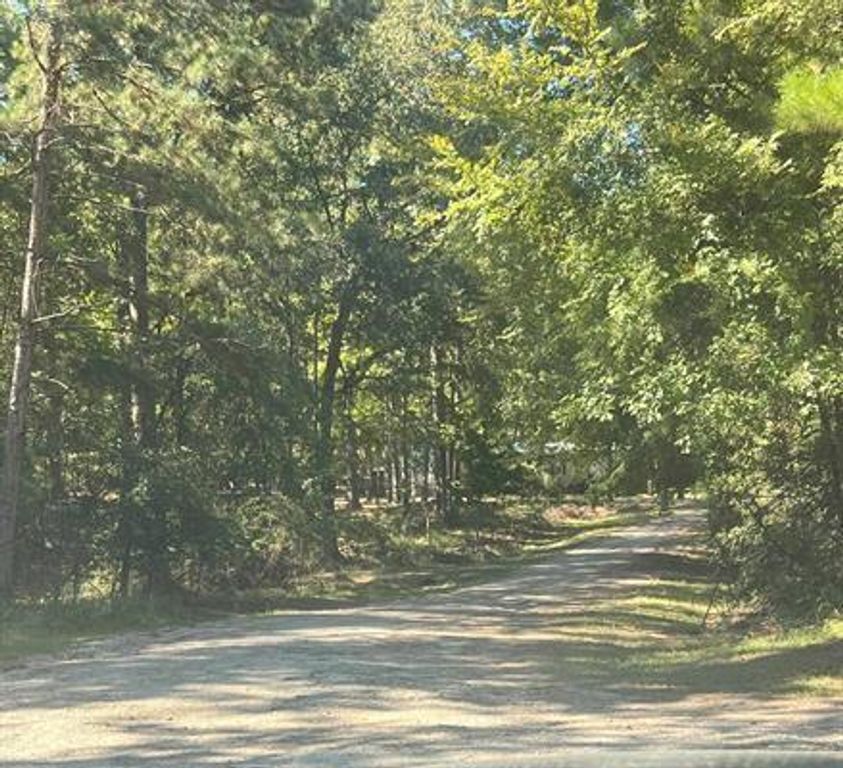 TBD Nueces Drive, Trinity, TX 75862