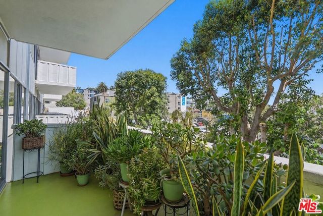 7135 Hollywood Boulevard 206, Los Angeles, CA 90046