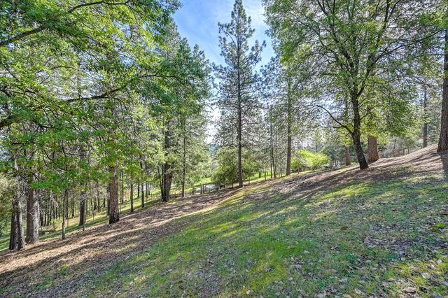 2065 Hotchkiss Ct, Cool, CA 95614