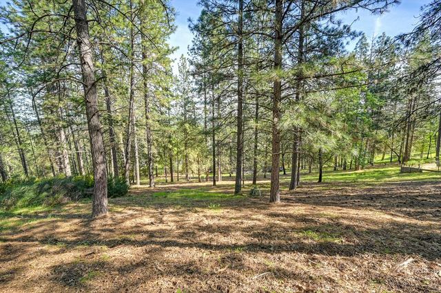 2065 Hotchkiss Ct, Cool, CA 95614