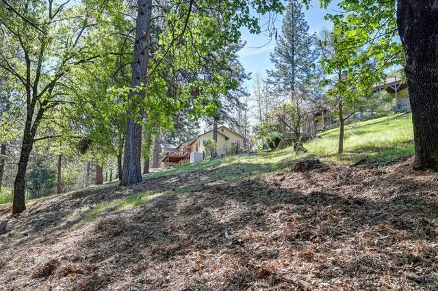 2065 Hotchkiss Ct, Cool, CA 95614