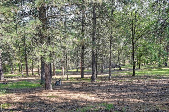 2065 Hotchkiss Ct, Cool, CA 95614