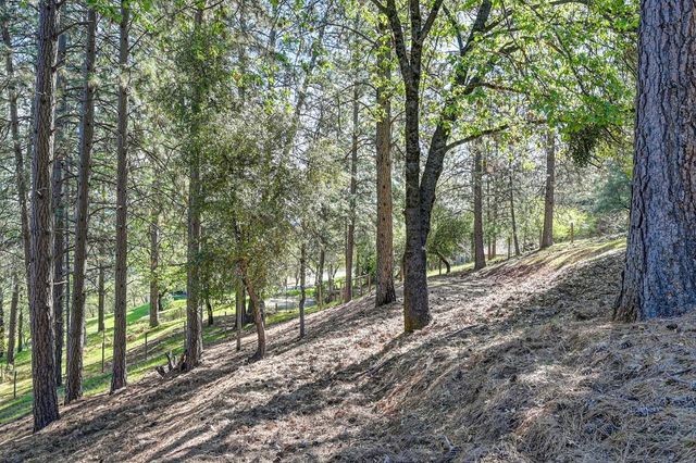 2065 Hotchkiss Ct, Cool, CA 95614