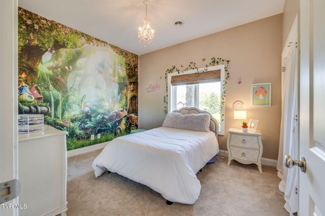 134 Mcafee Bluff, Johnson City, TN 37615