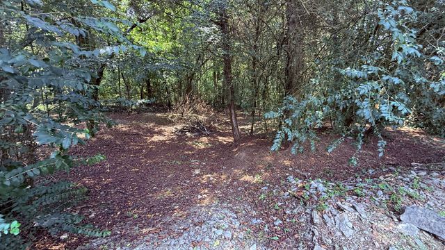 2409 Auldridge Dr, Christiana, TN 37037