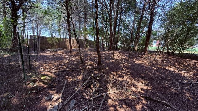 2409 Auldridge Dr, Christiana, TN 37037