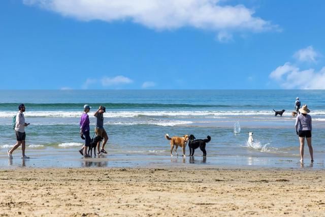 2536 Elderberry Lane, Carlsbad, CA 92008